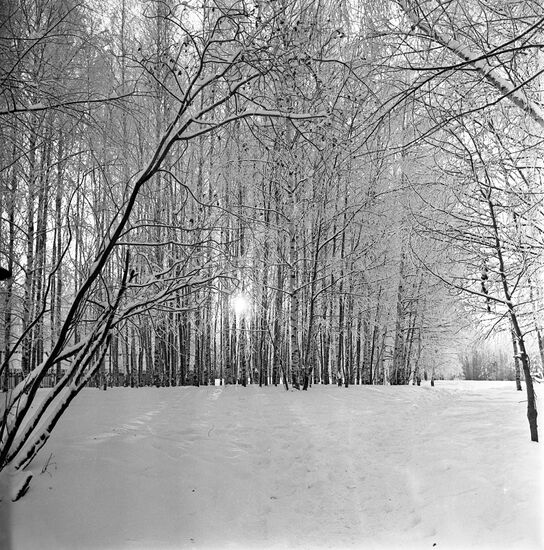 Darwin Nature Reserve in Vologda Region