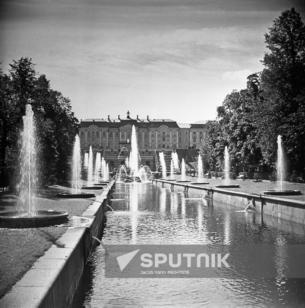 Peterhof palace-and-park ensemble