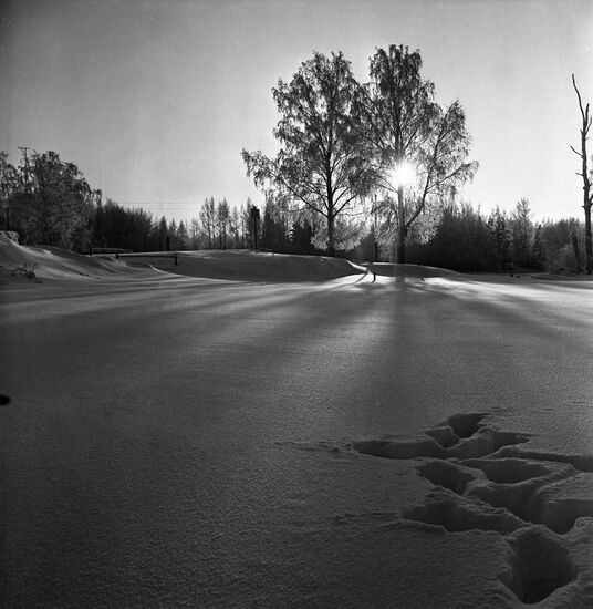 Darwin Reserve in Vologda Region