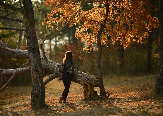 Russia Autumn