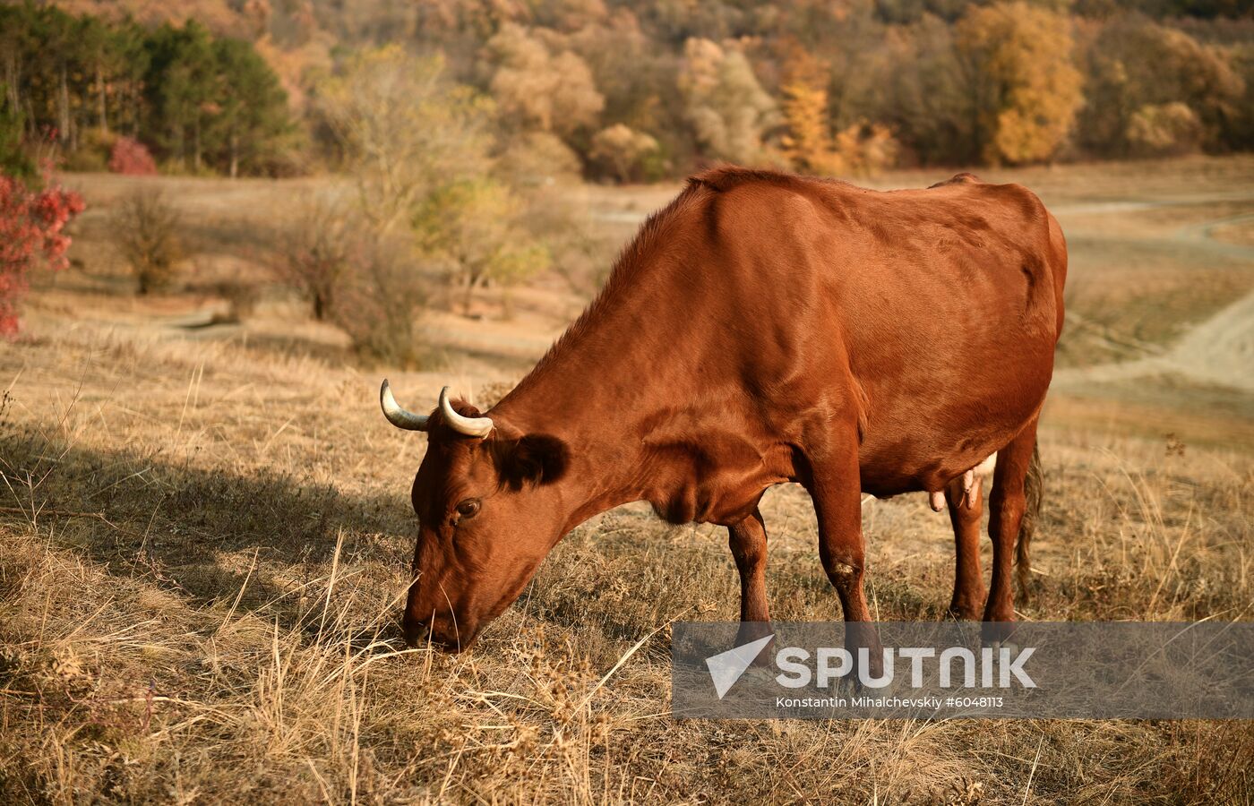 Russia Autumn