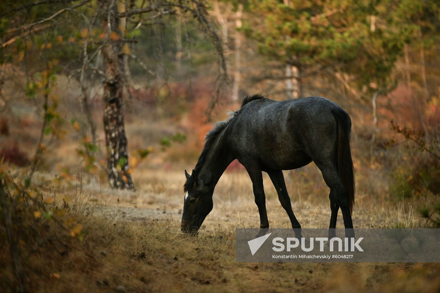 Russia Autumn