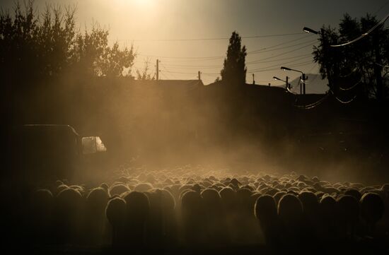 Armenia Daily Life