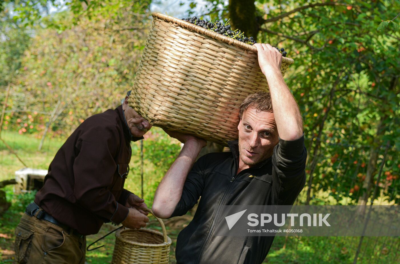 Abkhazia Wine Production