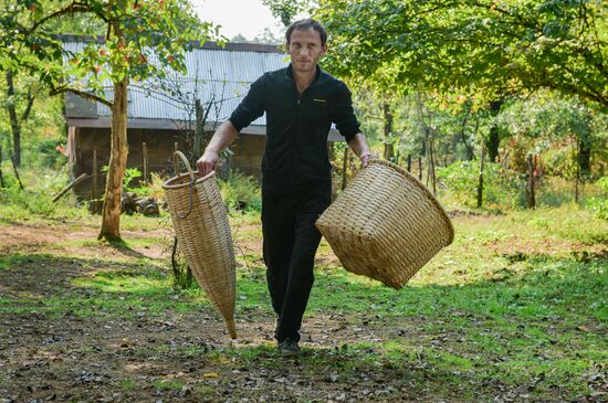 Abkhazia Wine Production