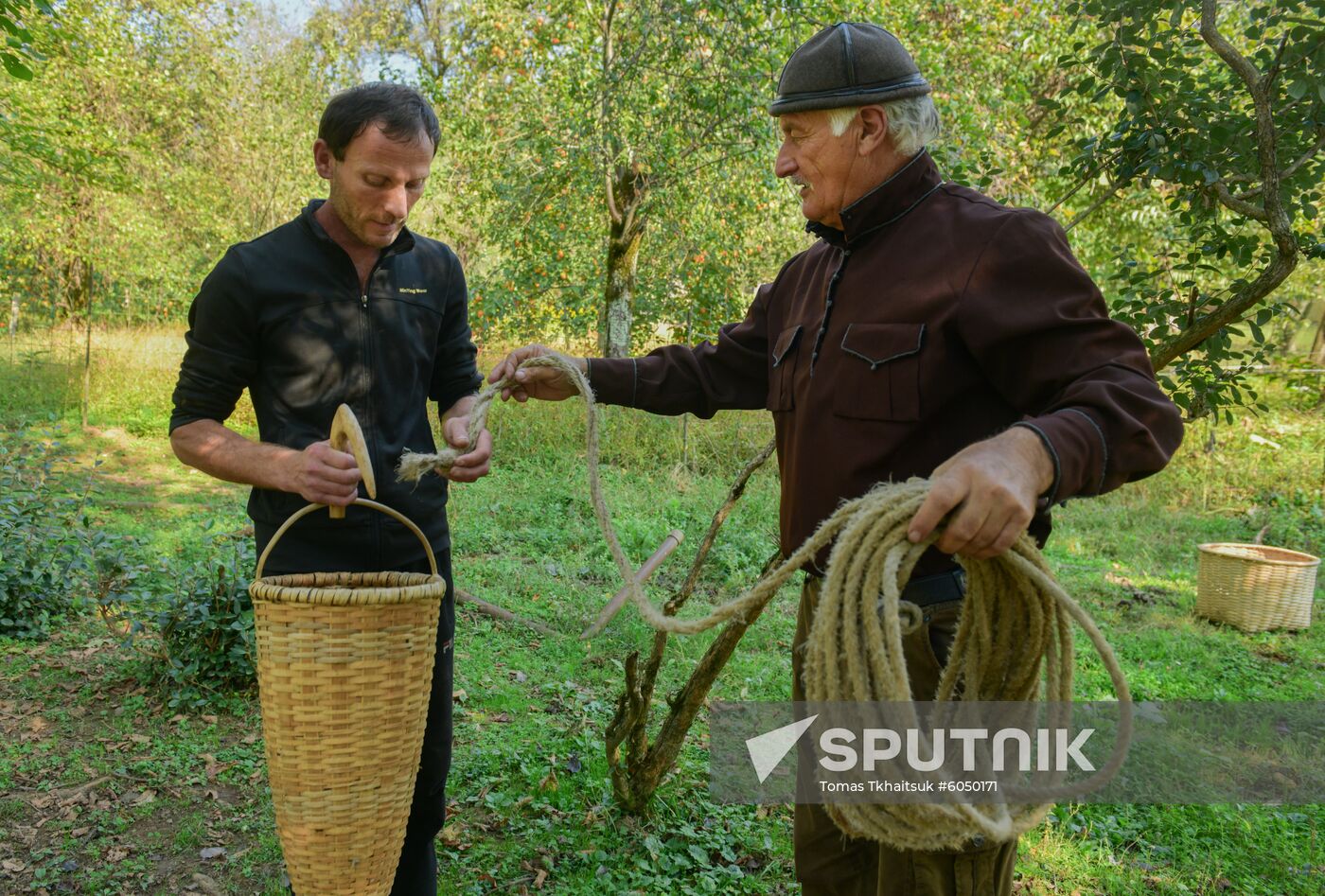 Abkhazia Wine Production