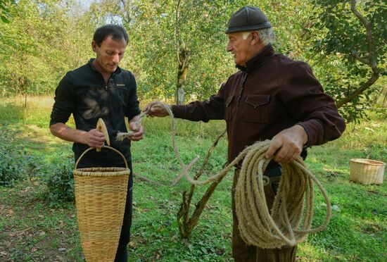 Abkhazia Wine Production