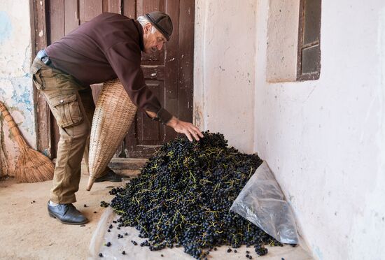 Abkhazia Wine Production