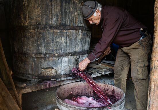 Abkhazia Wine Production