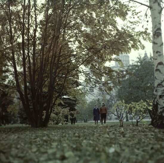 Stock photo Autumn