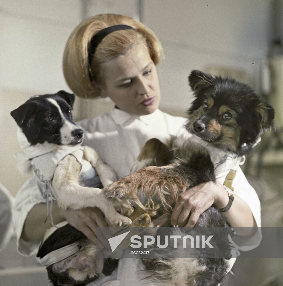 Institute of Medical-Biological Problems of Soviet Ministry of Healthcare