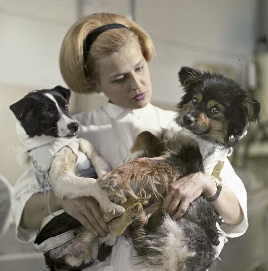 Institute of Medical-Biological Problems of Soviet Ministry of Healthcare