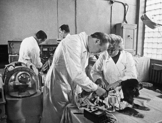 Institute of Biomedical Problems at the USSR Ministry of Healthcare