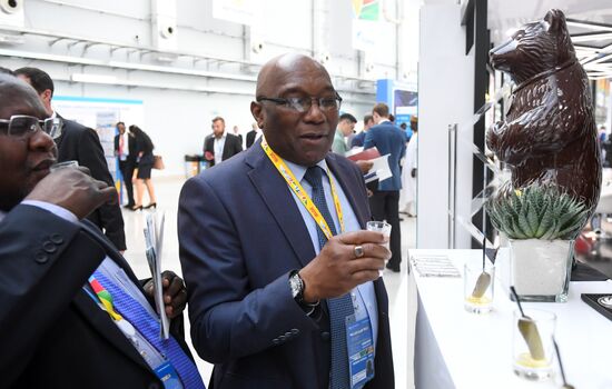 Russia Africa Forum