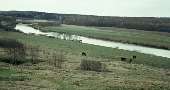 Ugra River
