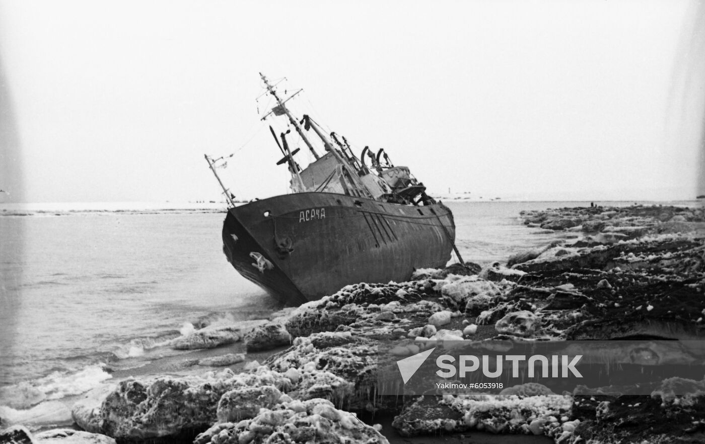 Fishing seiner Asacha