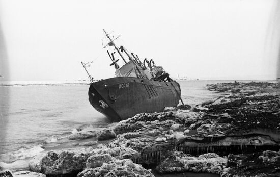 Fishing seiner Asacha