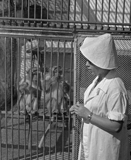 Sukhumi Ape and Monkey Nursery