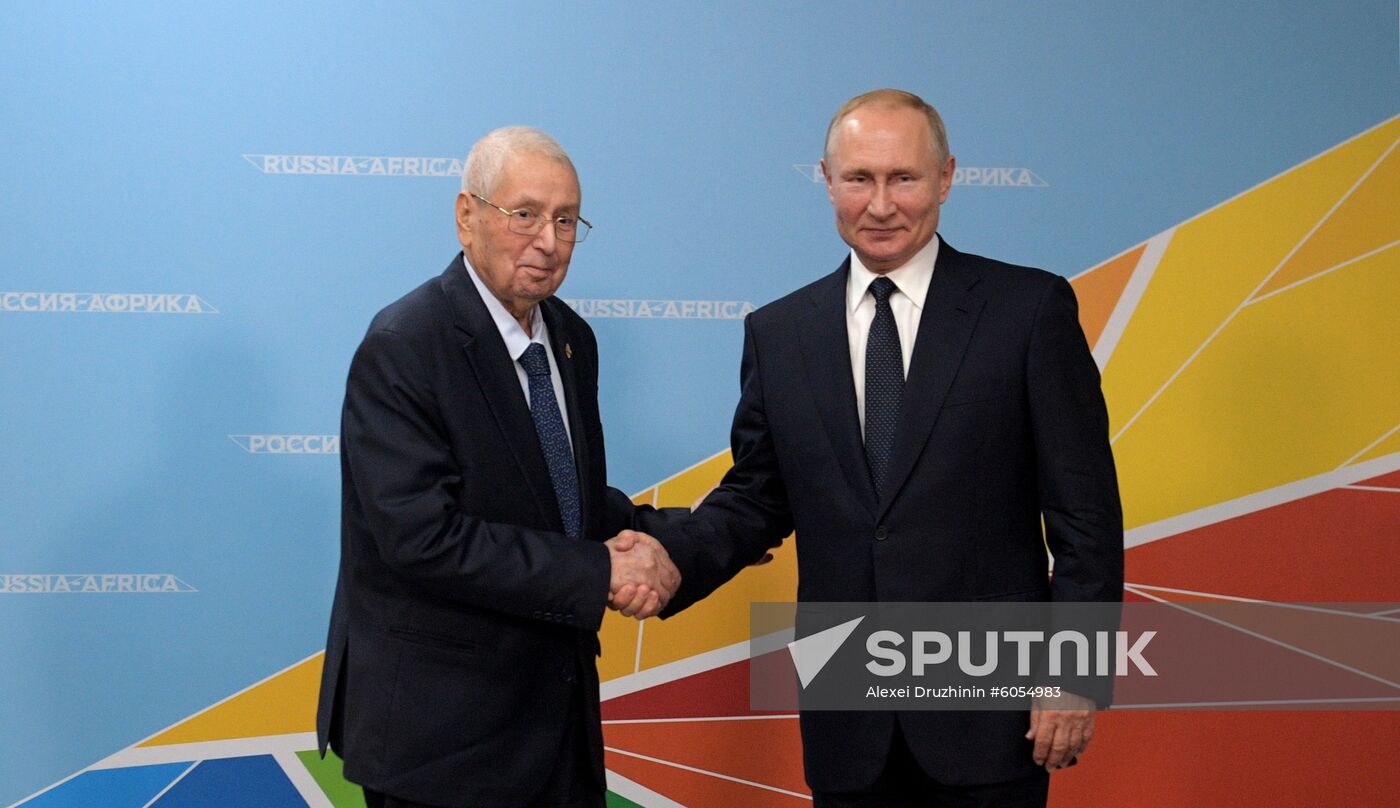 Russia Putin African Leaders