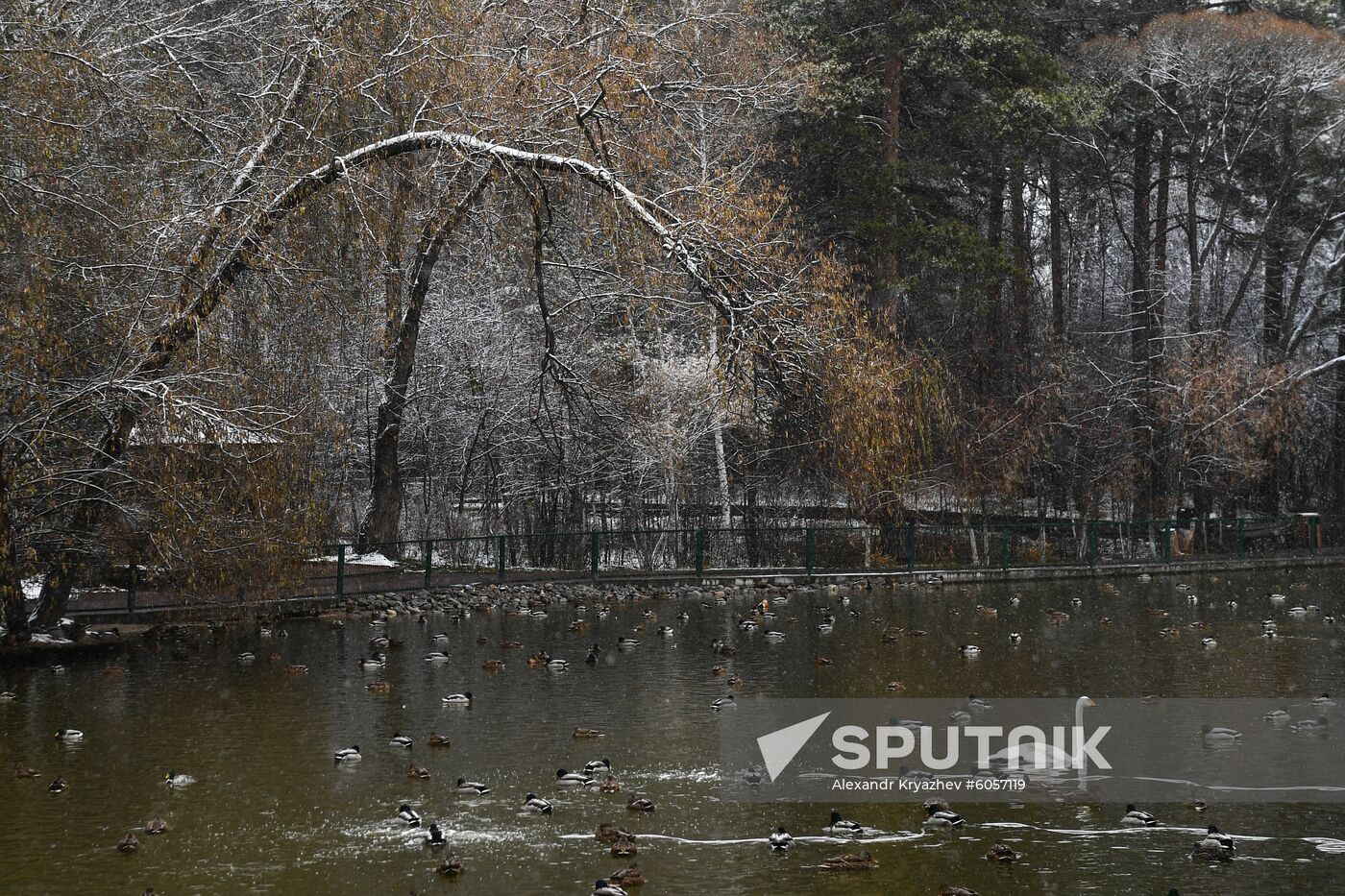 Russia Zoo