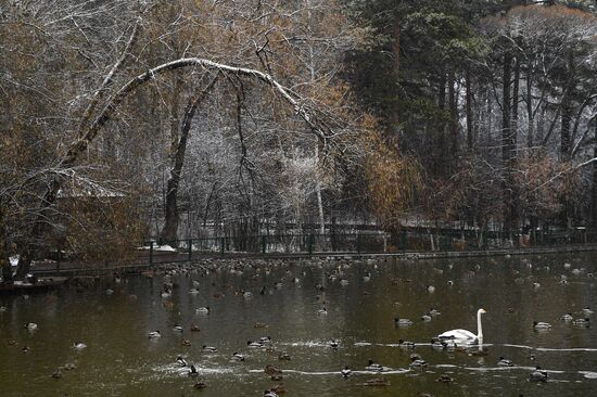 Russia Zoo