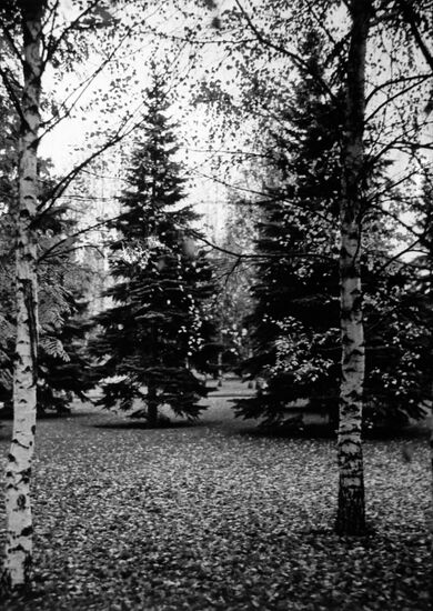 Moscow Region in October
