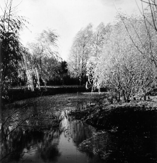Autumn outside Moscow
