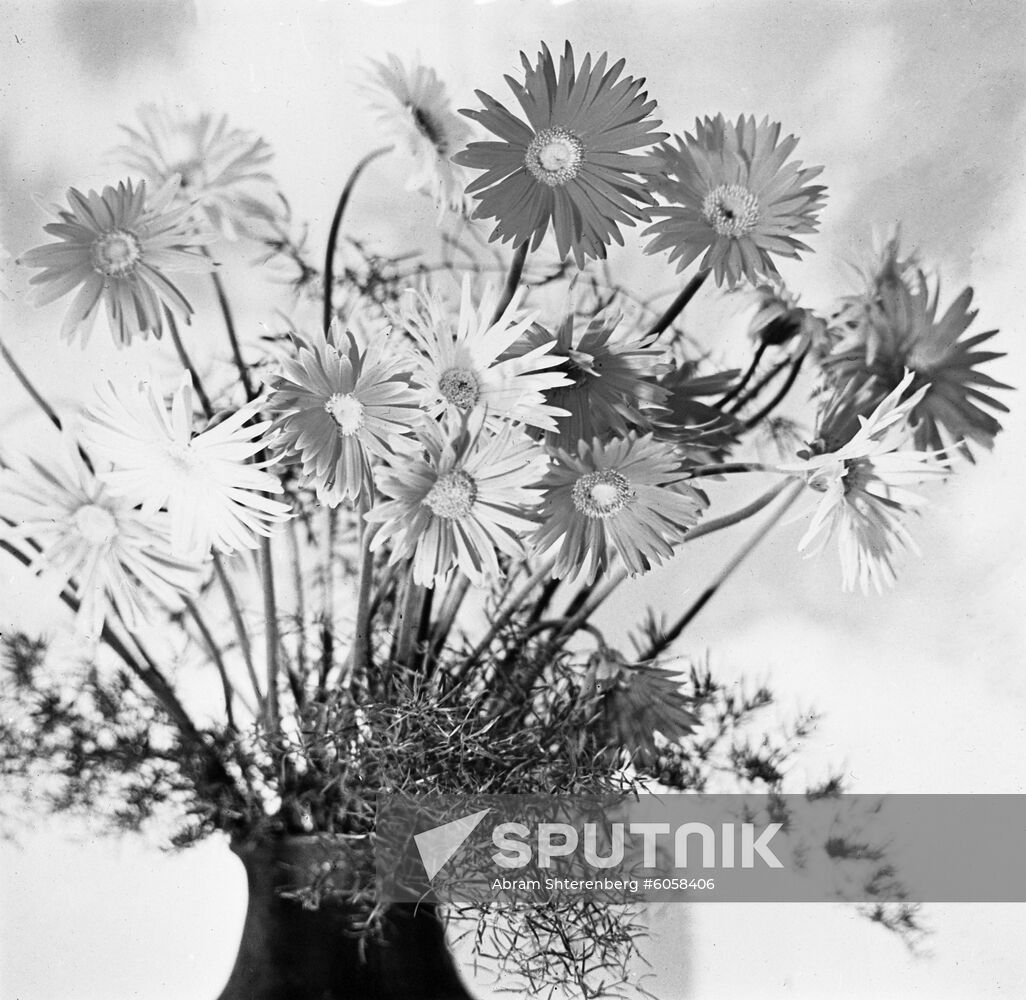 Floral composition with gerberas