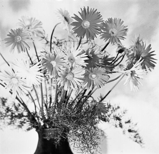 Floral composition with gerberas