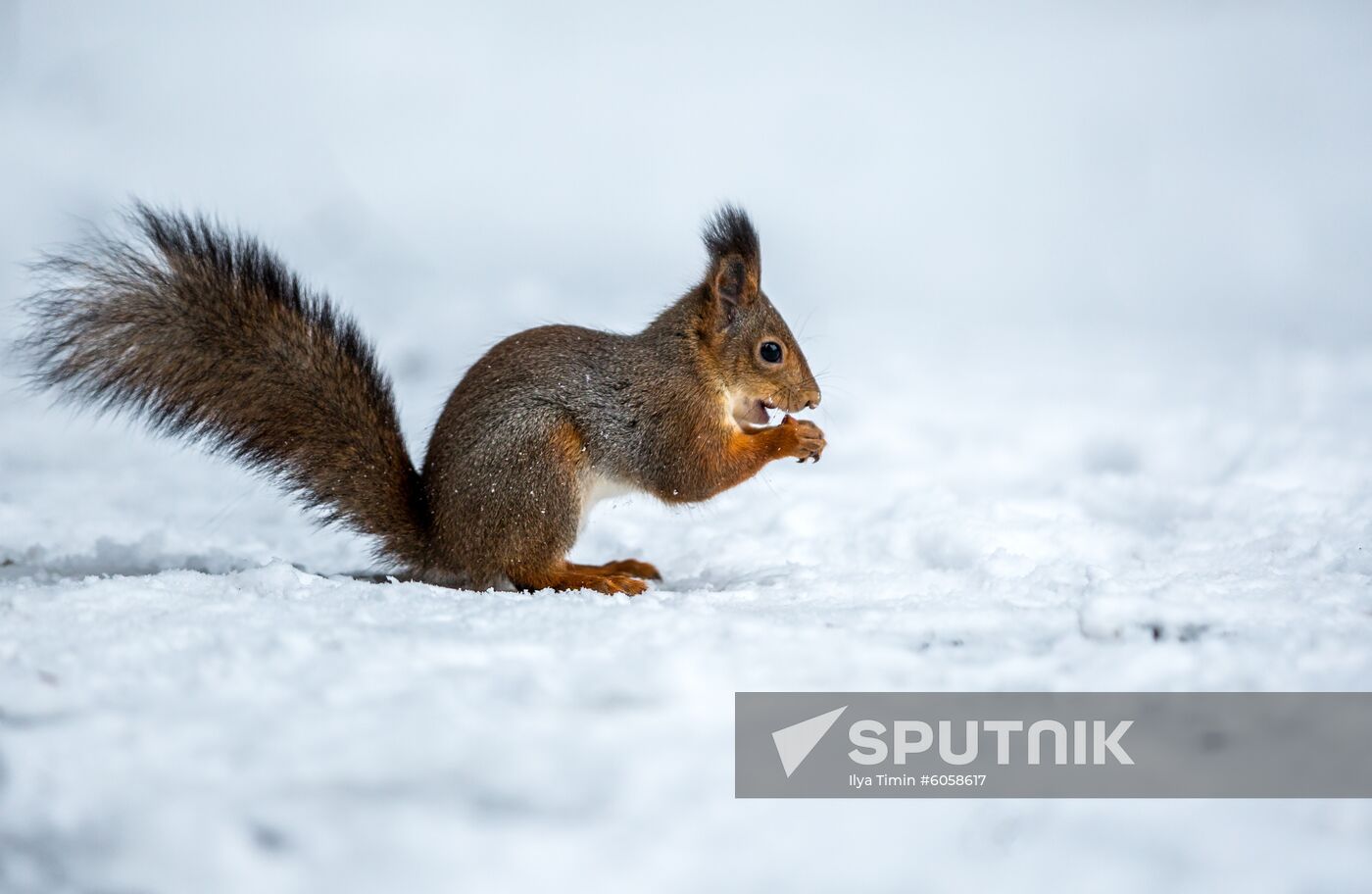 Russia Snowfall