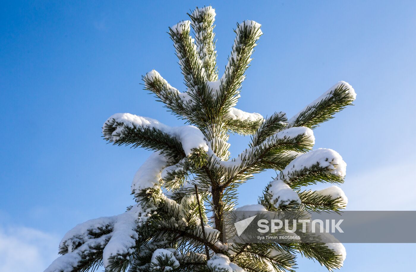 Russia Snowfall
