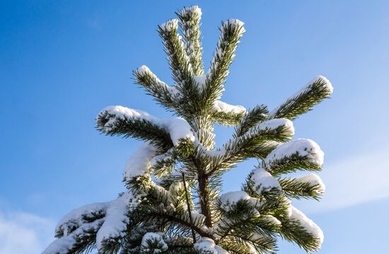 Russia Snowfall