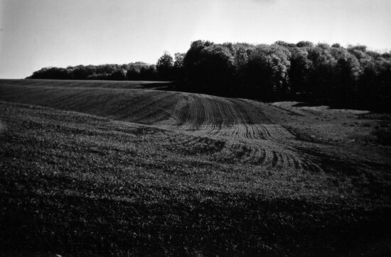 Rural landscape near Odessa