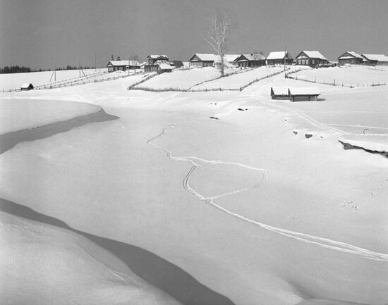 Korobeinikovo village in Vologda Region