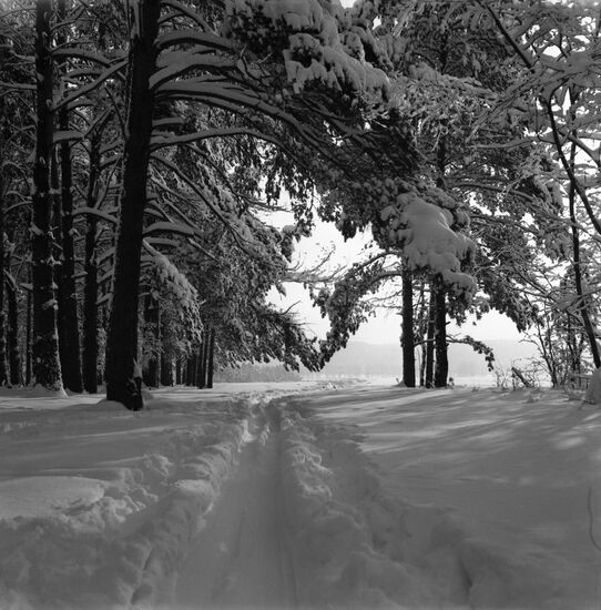 Winter outside Moscow