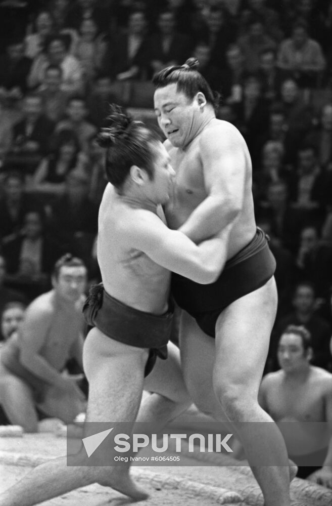 Japan's sumo wrestlers in Moscow