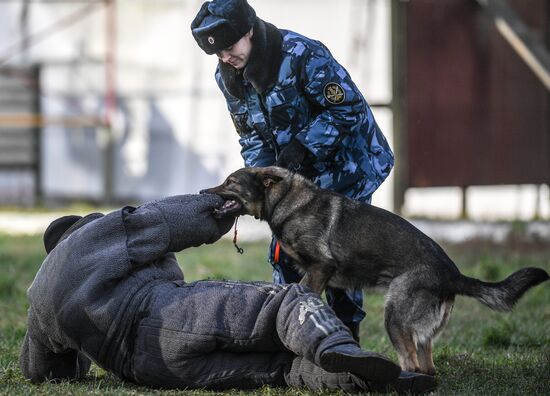 Russia Special Forces Drills