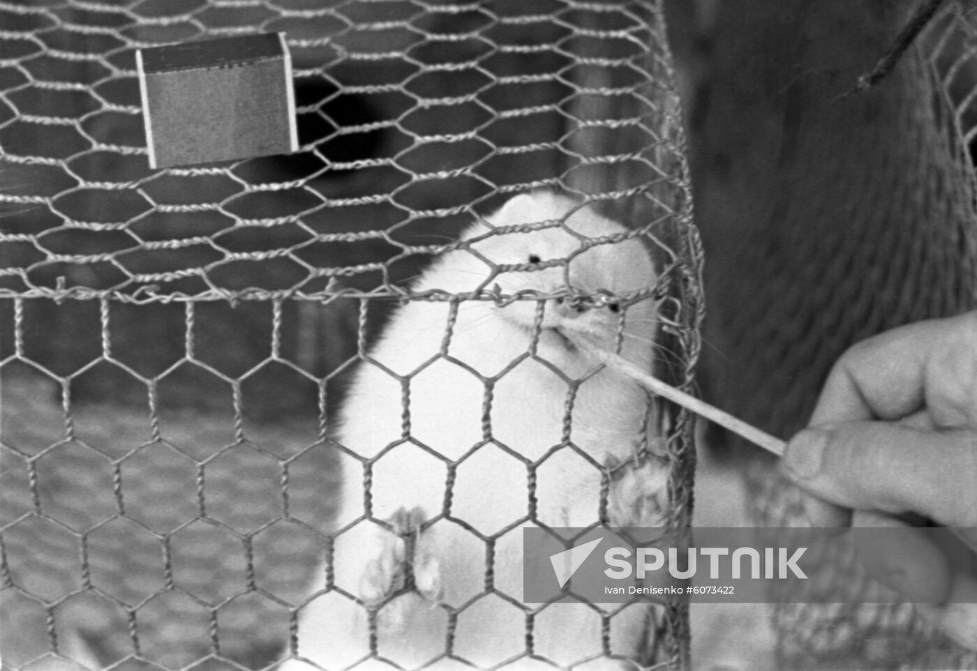 Vyatka State Fur Farm