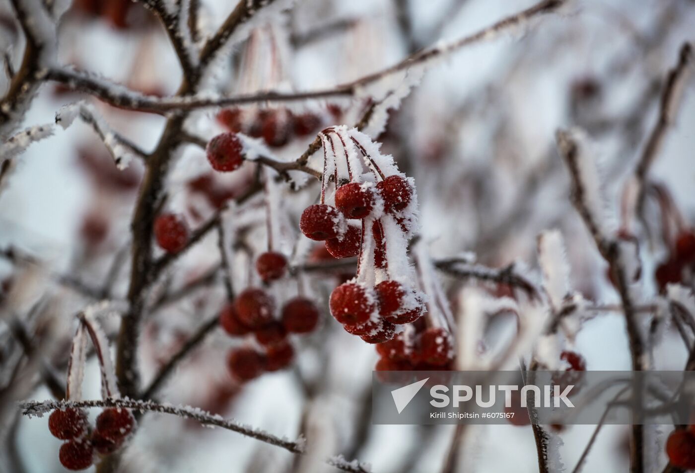 Russia Weather