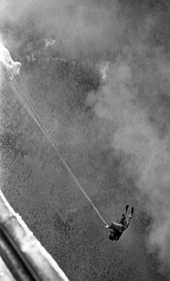 Forestry and forest protection in USSR