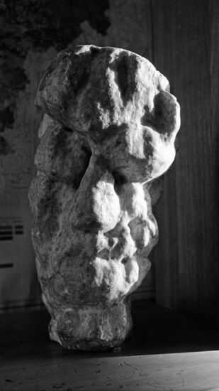 Central Siberia Geology Museum in Krasnoyarsk