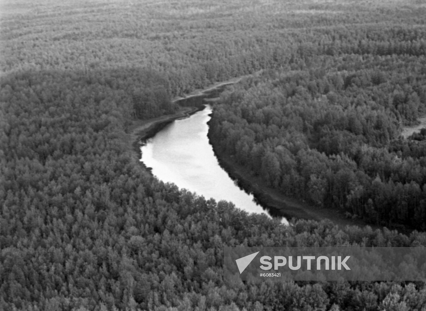 Taiga landscape