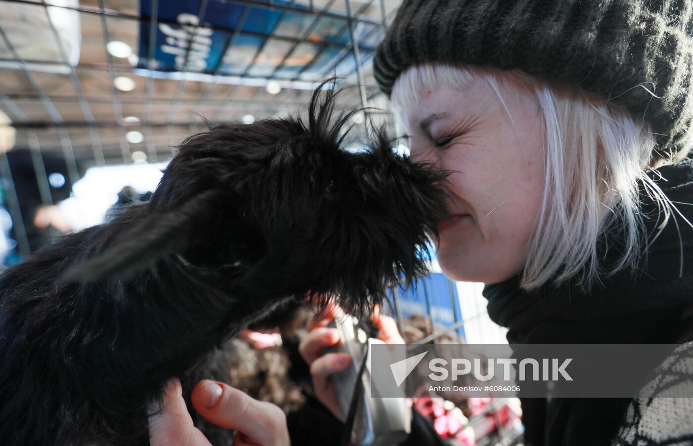 Russia Dog Show