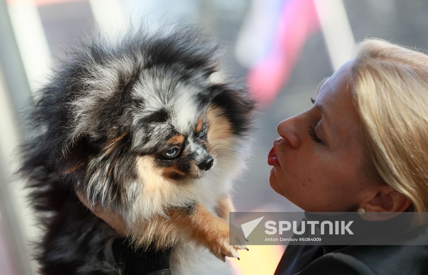 Russia Dog Show