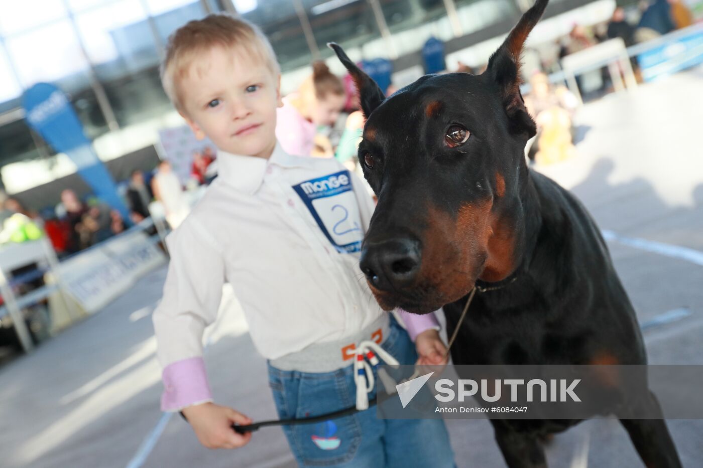 Russia Dog Show