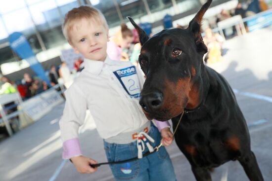 Russia Dog Show