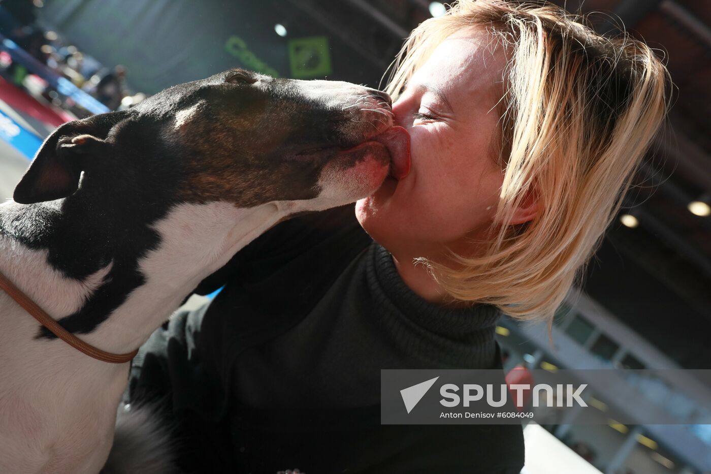 Russia Dog Show