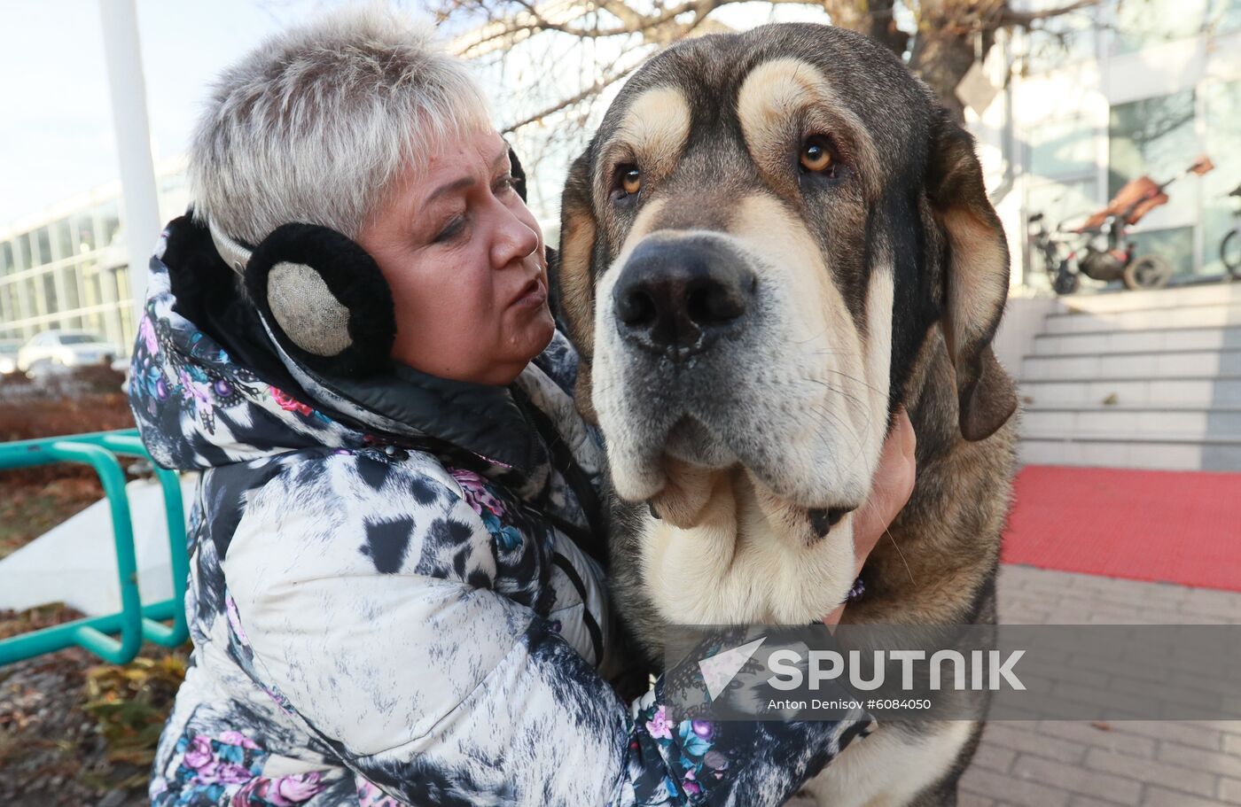 Russia Dog Show