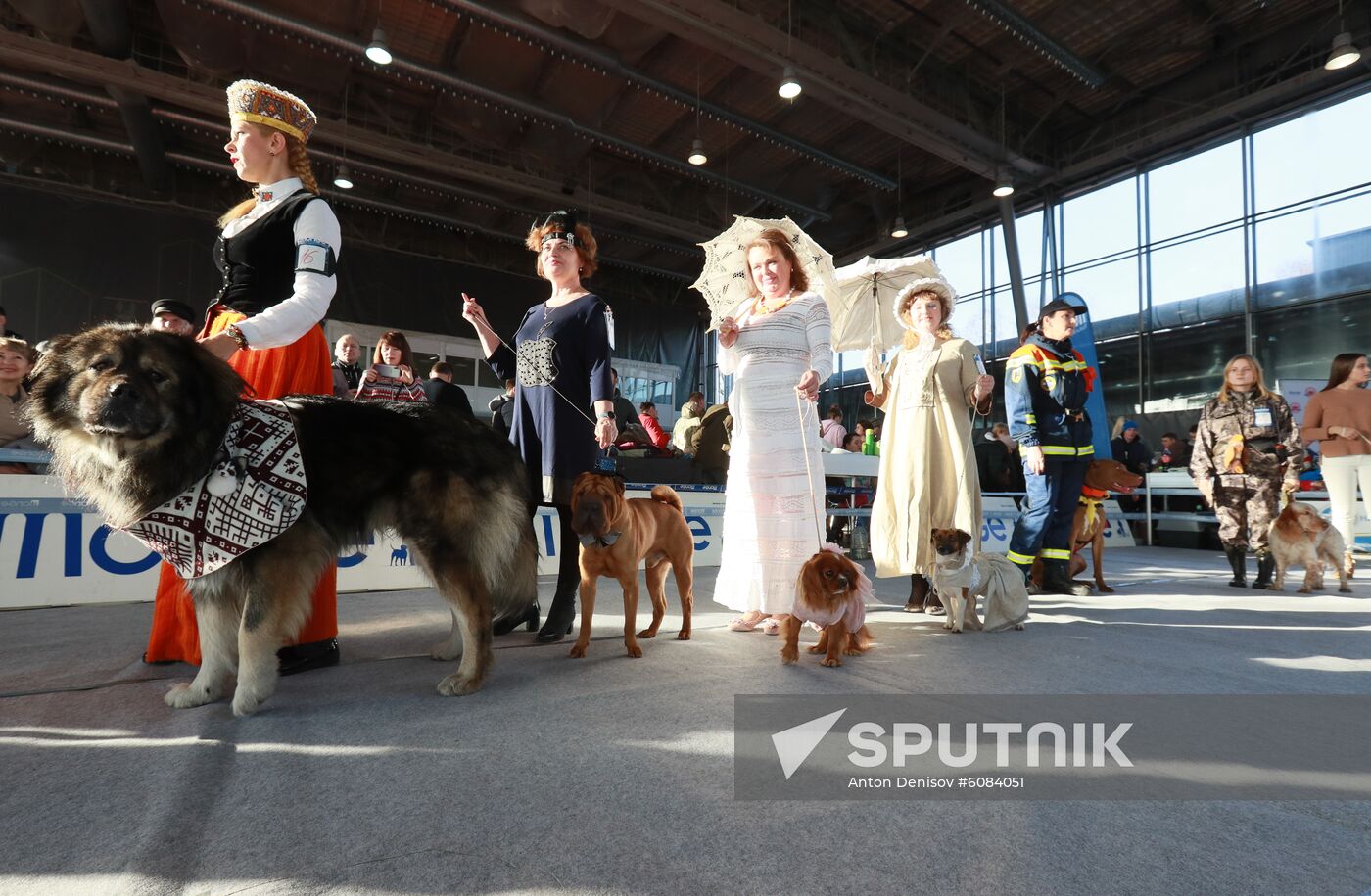 Russia Dog Show