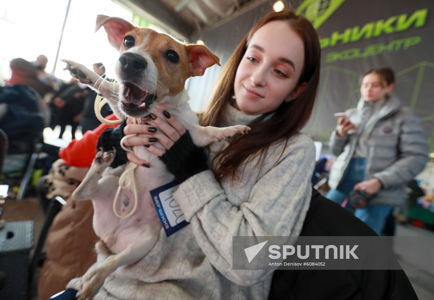 Russia Dog Show